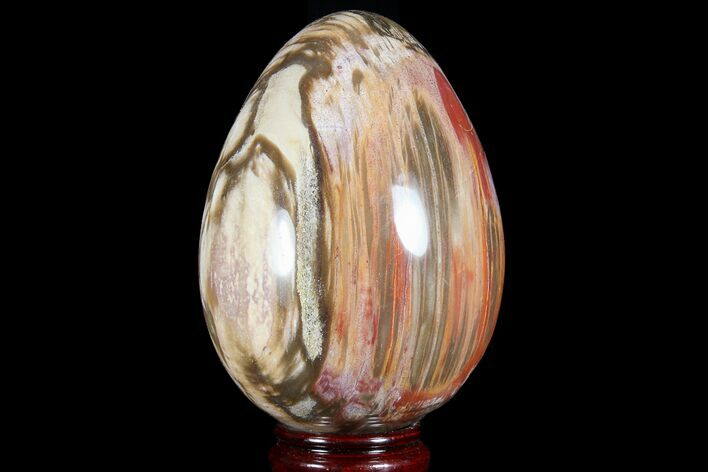 Colorful, Polished Petrified Wood Egg - Triassic #74743